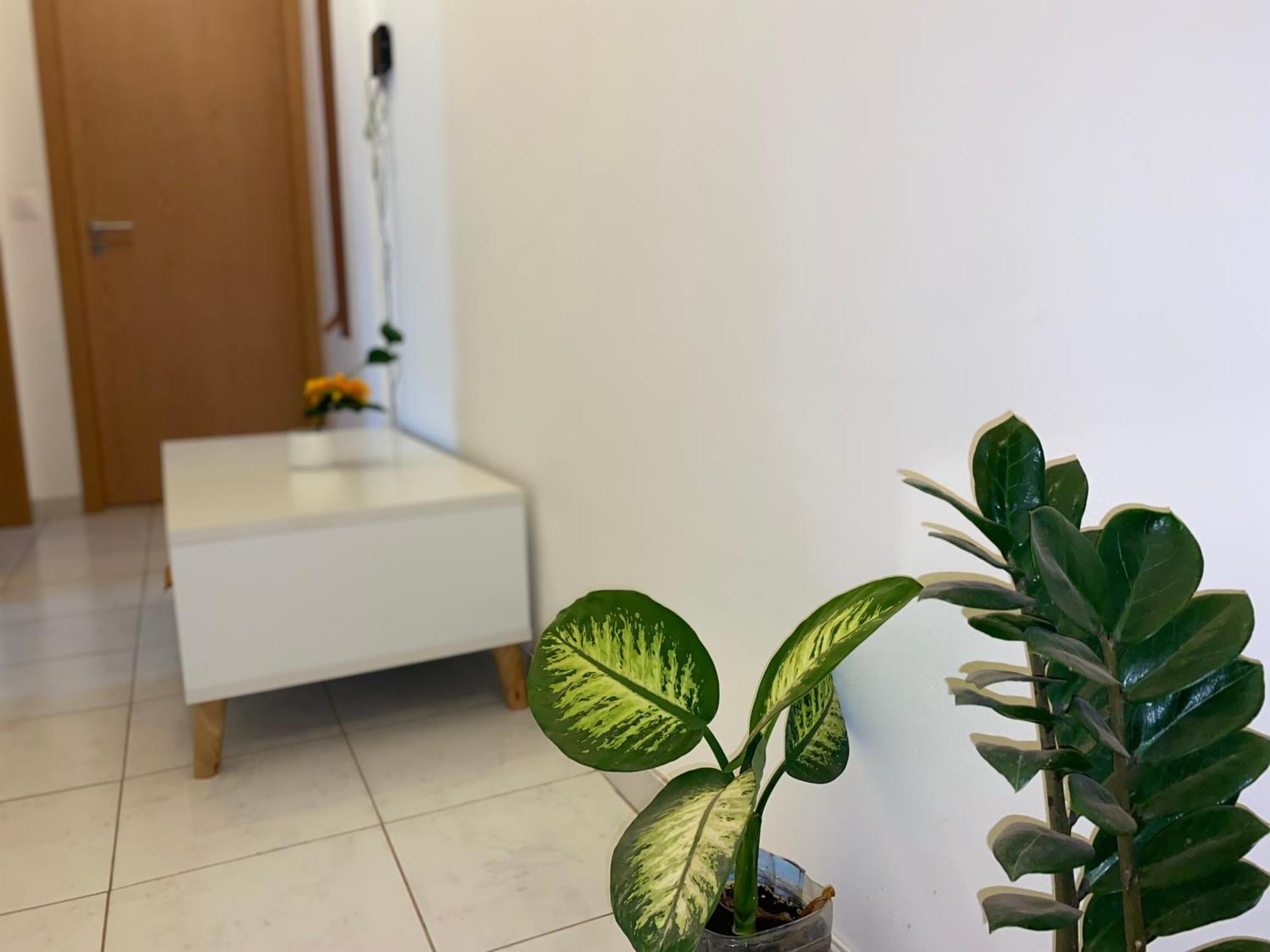 Apartamento T2 Equipado E Aconchegante. 普拉亚 外观 照片